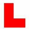 Driving instructor in  Thomas